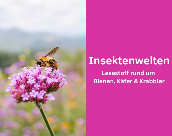 Insektenwelten - Lesestoff rund um Bienen, Käfer & Krabbler